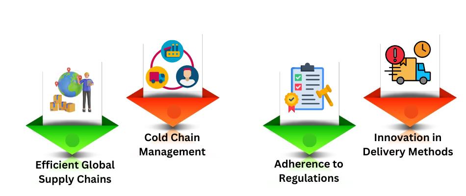 Role of Indian Pharma Companies in Global Logistics